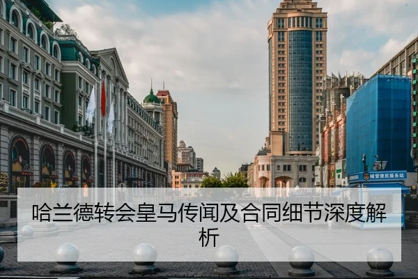 哈兰德转会皇马传闻及合同细节深度解析